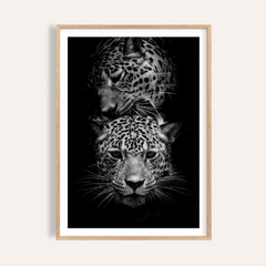 Leopard Photography Print