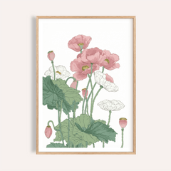 Botanical Flower Print showing poppy blooms, buds, and green leaves