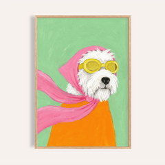 Funny Pet Poster