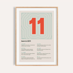2011 Contour Map Print