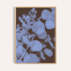 chocolate eucalyptus print showing eucalyptus in soft focus on rich chocolate brown
