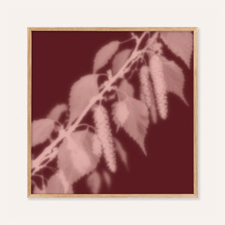blush birch print showing birch leaves in soft focus on dark oxblood red
