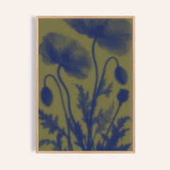 navy poppy print showing poppies in soft focus on olive green