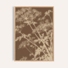 sand cow parsley print showing cow parsley in soft focus on warm sepia brown
