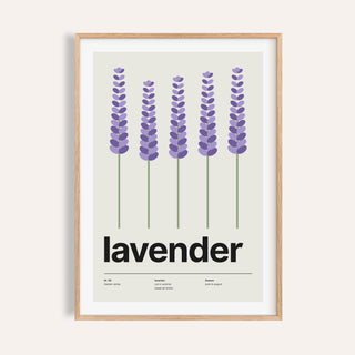 Lavender spikes wall art shown on a plain warm cream wall