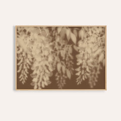 sand wisteria print showing wisteria in soft focus on warm sepia brown