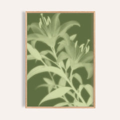 pistachio lily print showing lilies in soft focus on moss green