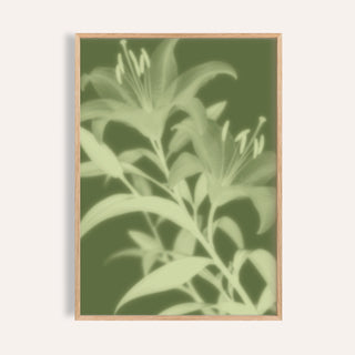 pistachio lily print showing lilies in soft focus on moss green