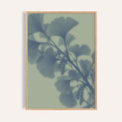 sage ginkgo print showing ginkgo in soft focus on soft sage green