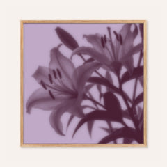 plum lily print showing lilies in soft focus on pale lilac