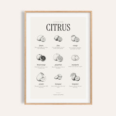Types of Citrus Print