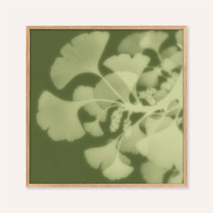 pistachio ginkgo print showing ginkgo in soft focus on moss green