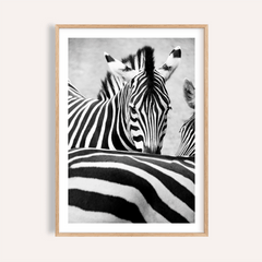 Zebra Black White Wall Art