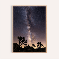 Night Desert Poster