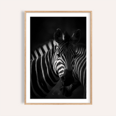 Zebra Black White Print