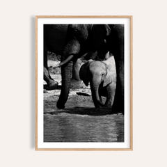 Nature Art Print