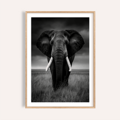 Black And White Elephant Print