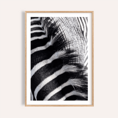 Zebra Stripe Art Print