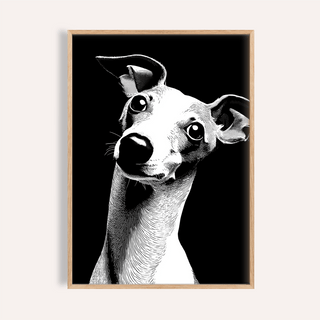 Dog Art Print close-up of a whippet dog in white line-art on a black background