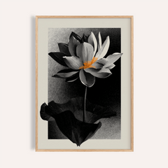 Lotus Flower Art Print