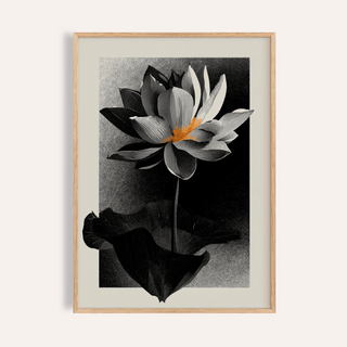 Framed lotus flower art print in black grey and orange with minimalist illustration style