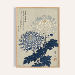 Chrysanthemum Art framed print close-up of blue and white chrysanthemum flowers with Japanese woodblock style