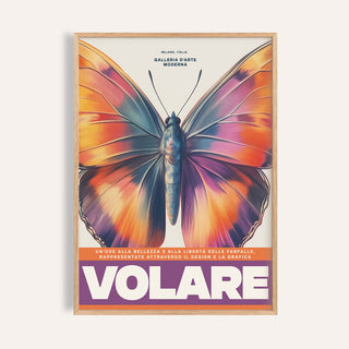 Framed Large Butterfly Print showing colourful butterfly wings in orange purple and yellow