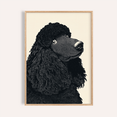 Poodle Art Print
