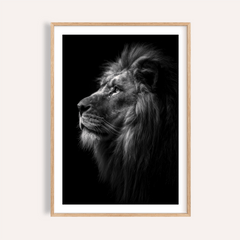 Lion Wall Art