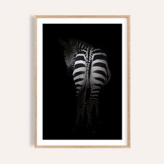 Zebra Art Print