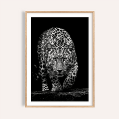 Black Leopard Wall Art