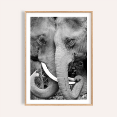 Animal Portrait Art