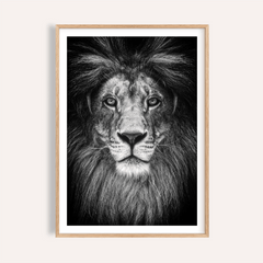 Black And White Lion Print