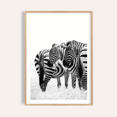 Close-up of zebra wall art featuring three zebras in black and white stripes with a natural wood frame