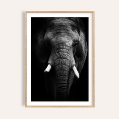 Elephant Print