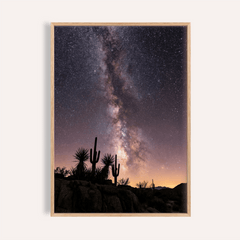 Cactus Night Print