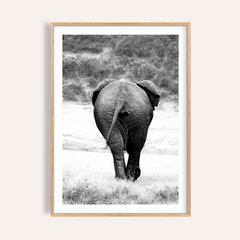 Nature Animal Wall Art