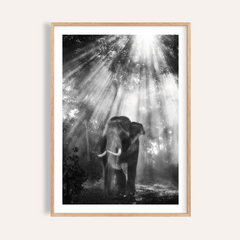 Nature Photography Wall Art
