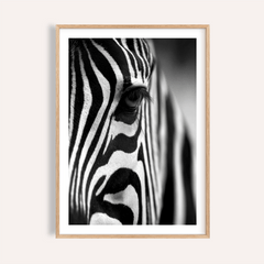 Wildlife Photography Poster close-up of zebra eye and striking black and white stripes in natural tones