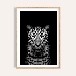 Front-facing Black Leopard Art Print poster with centered leopard portrait