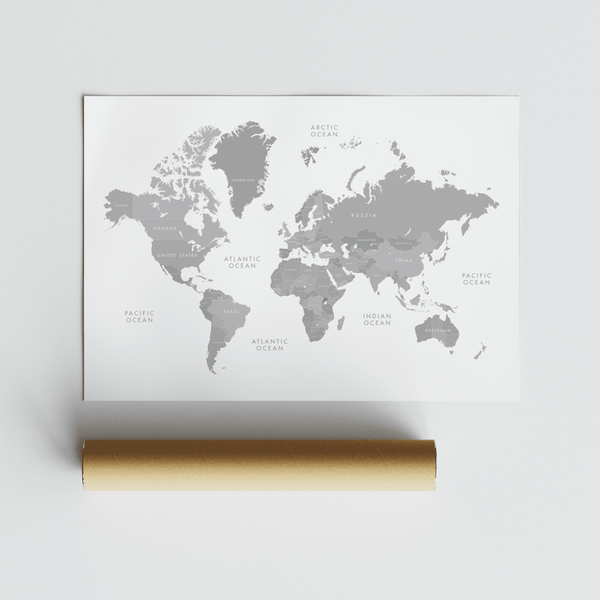 World Map Art wall art for library with Gray and White design