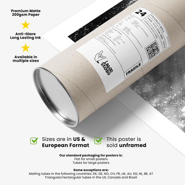 Soft mist encircles elephant in black and white forest photograph