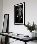 Wildlife elephant portrait wall art print with high-contrast shadows