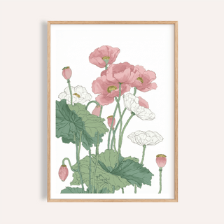 Botanical Flower Print showing poppy blooms, buds, and green leaves