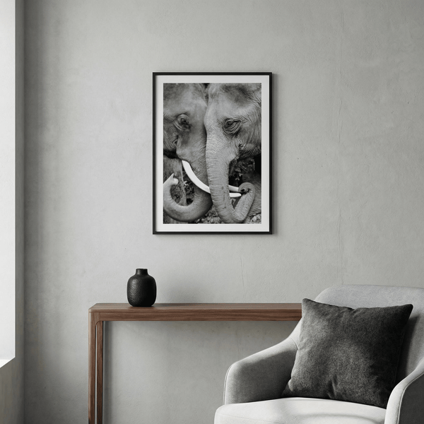 Animal Portrait Art wall art featuring paired elephants in a high-contrast monochrome photo