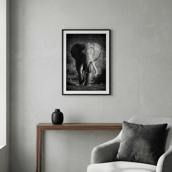 Neutral-toned living room displaying framed elephant wall art