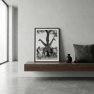Vertical Giraffe Black and White Art Print with mirrored giraffe necks and strong central tree