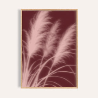 blush pampas grass print showing pampas grass in soft focus on dark oxblood red