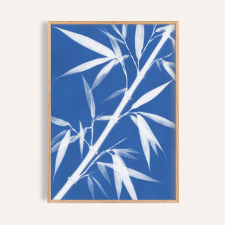 bamboo cyanotype print showing bamboo in soft focus on bright cyanotype blue