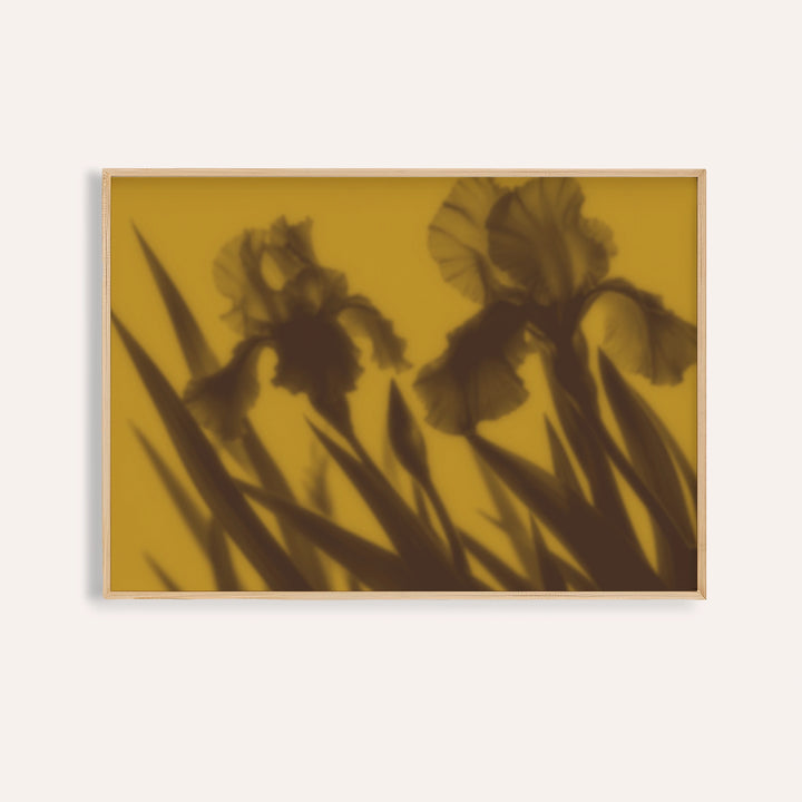brown iris print showing irises in soft focus on mustard yellow